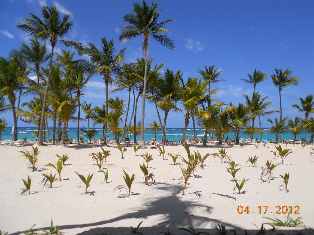 Contact us at Discount Charter Vacations for your DISCOUNTED Package to Riu Palace Bavaro